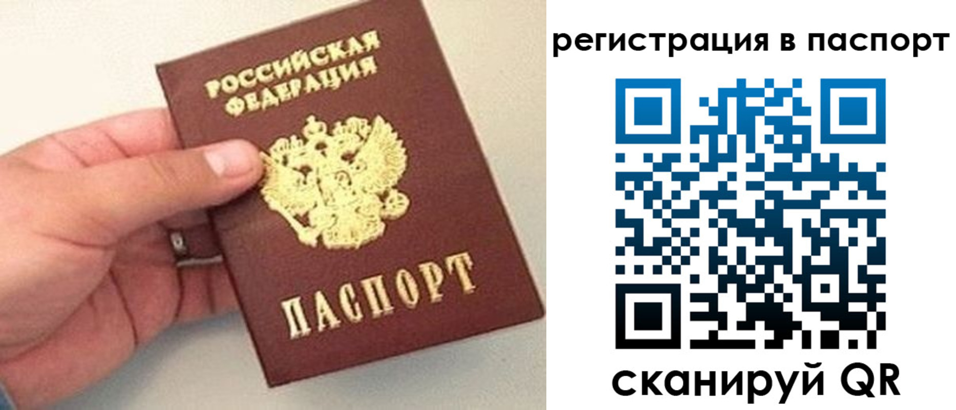 прописка законно в Искитиме